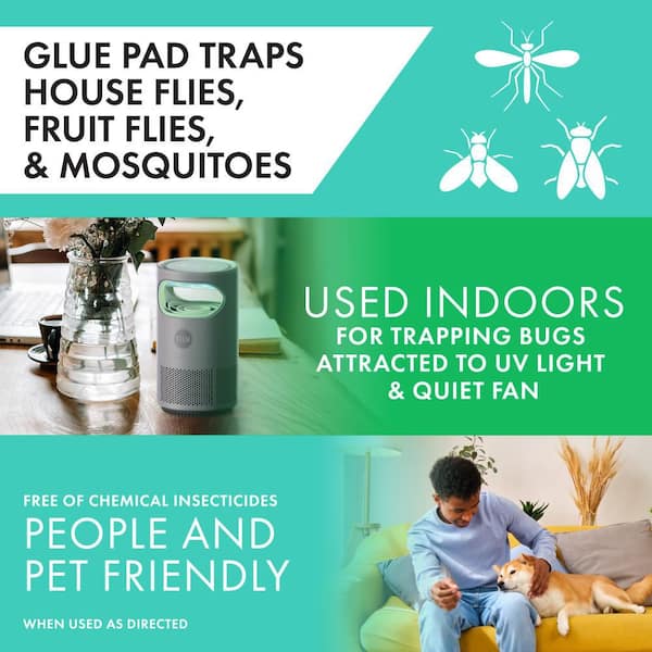STEM Flying Insect Fan Trap for Indoor Bug Control, Plug-In Fan with UV ...
