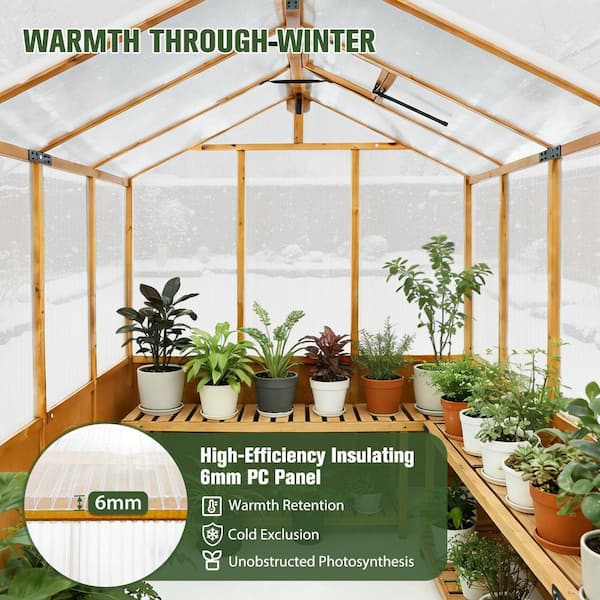 COOS BAY 6 x 12 ft Wood Greenhouse with Double-Layer Polycarbonate