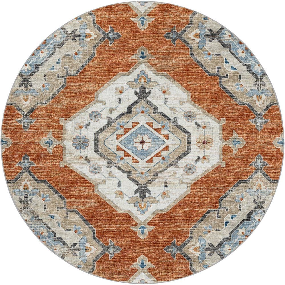 Dream Shag Premium Machine Washable Abstract ADS91 Clay 8 ft. x 8 ft. Round Rug price history on PriceWatchPro