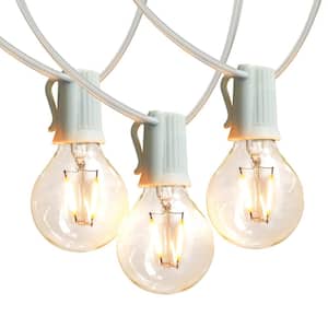 Ambience Pro 12-Light 26 ft. White Indoor/Outdoor Plug-In NonHanging LED 1-Watt G40 2700K Soft White Bulb String Lights