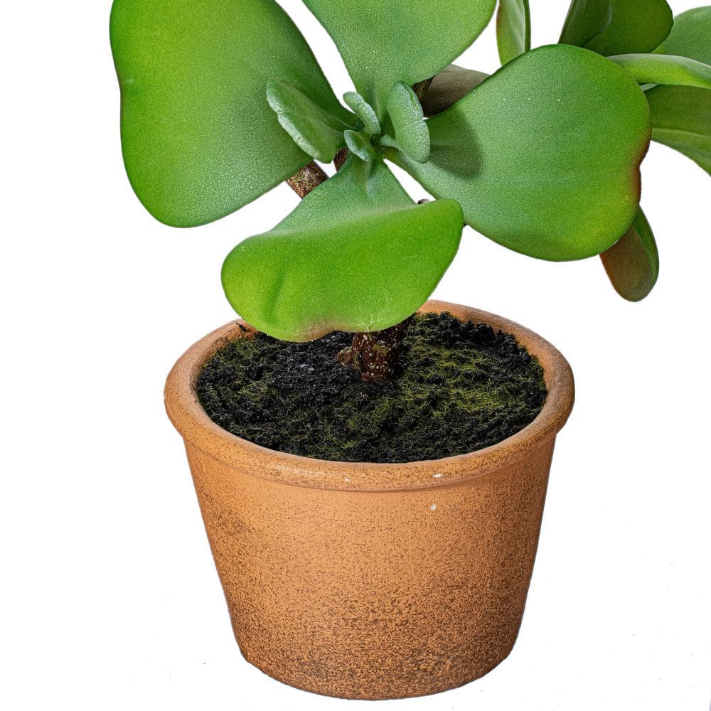 14" EverGreen Tabletop Plastic Succulent - Outdoor Centerpiece