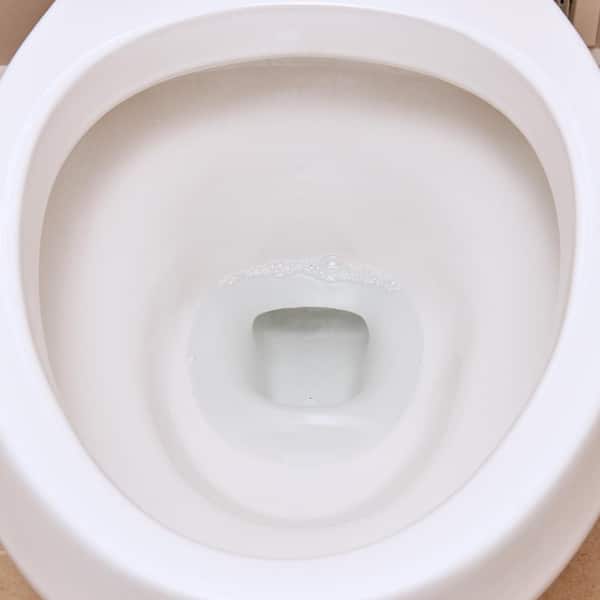 Betco Pull Heavy Duty 23% HCl Toilet Bowl Cleaner (12 PK)