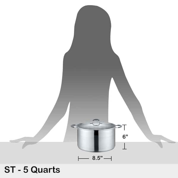 QStar 5 qt Stainless Steel Aluminum Nonstick Stock Pot with Glass Lid and  Stay Cool Handle (5.0 quart)