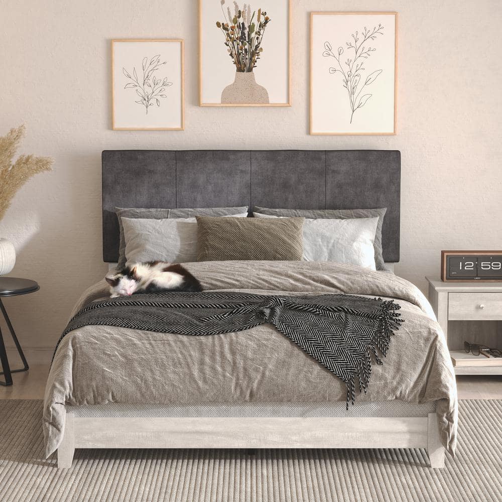 Darsh Dusty Gray Oak Upholstered Queen Panel Bed with Headboard -  GALANO, SH-DPF1070VGUSA