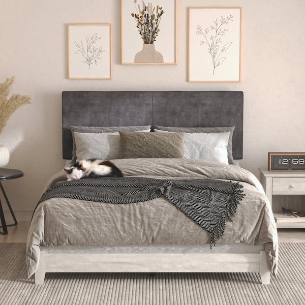 GALANO Darsh Dusty Gray Oak Upholstered Queen Panel Bed with Headboard