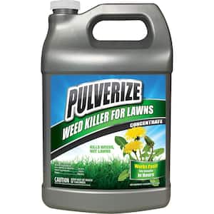 Weed Killer for Lawns, 1 Gal. Concentrate