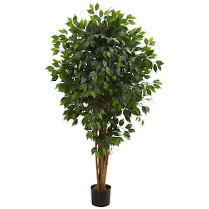 Indoor 5.5 in. Ficus Artificial Tree