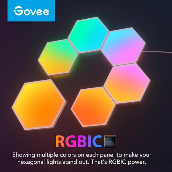 Govee RGBIC Pro 48-Watt Equivalent 49.2 ft. Integrated LED Smart Color  Chainging Wi-Fi Enabled White Strip Light (1-Strip) H619DAD1 - The Home  Depot