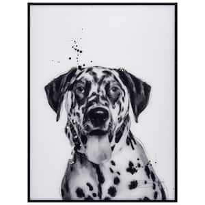 "Dalmatian" Black and White Pet Paintings on Printed Glass Encased with a Gunmetal Anodized Frame