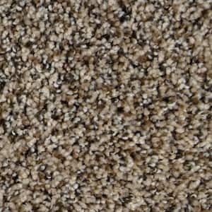 Captain  - Palacios - Brown 35 oz. SD Polyester Texture Installed Carpet