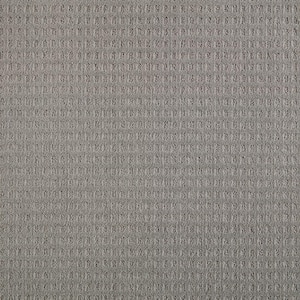 Canter  - Creek Bend - Gray 38 oz. Triexta Pattern Installed Carpet