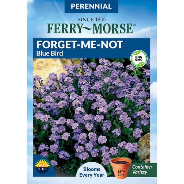 Ferry-Morse Forget-Me-Not Blue Bird Flower Seeds