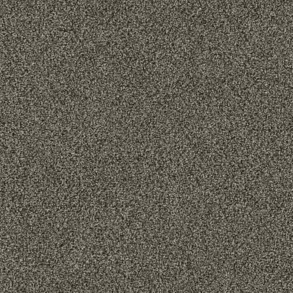 8 in. x 8 in. Texture Carpet Sample - LYRIC LOFT III - Color STANZA price history on PriceWatchPro
