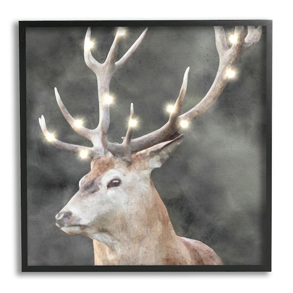 Stupell Industries Holiday Lights on Antlers by LSR Design Studio 1-Piece Framed Graphic Print Animal Poster Art Print 24 in. x 24 in.
