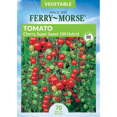 Tomato Super Sweet 100 VF Hybrid Seed