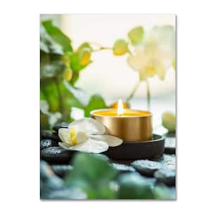 Magnolias on Gold Velvet Cloth Panoramic Canvas Art Print for Sale