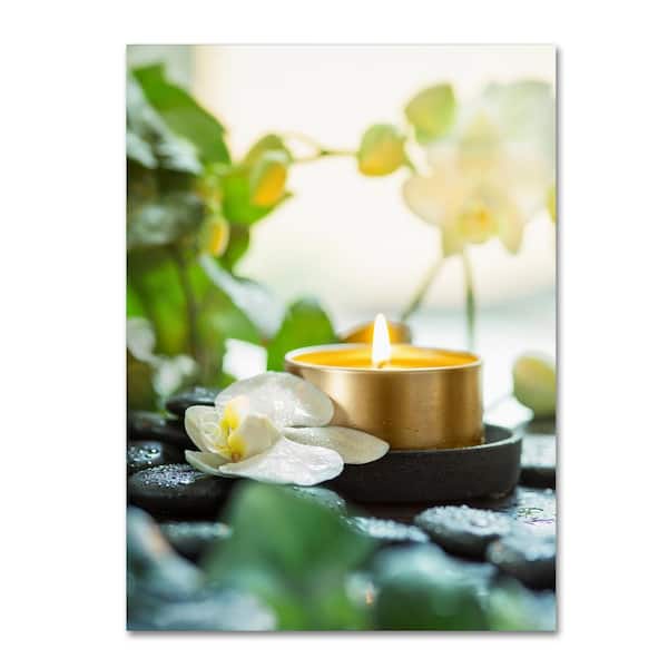 Zen Orchid And Candle by Johanna Hidden Frame Home Wall Art 14 in. x 19 in.