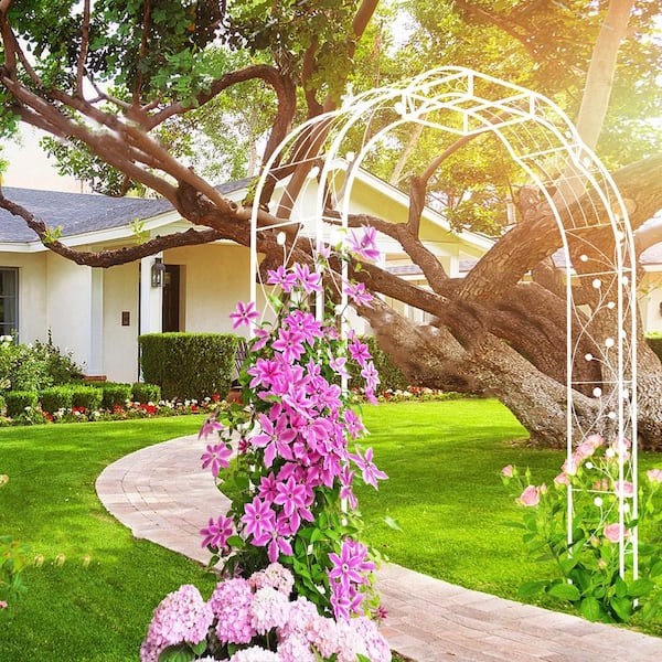 98.4 in. x 74.4 in. White Metal Garden Arch Arbor Metal Archway