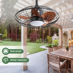 20 in. Indoor/Outdoor Brown Ceiling Fan with Lights, with Remote Control, Hanging for Pergola, Waterproof