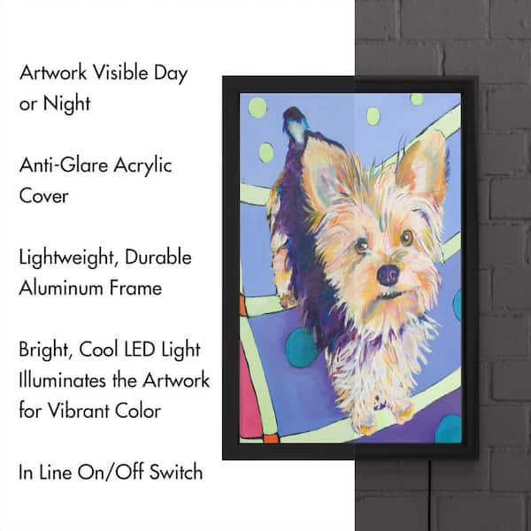berekenen breed Vervolg Trademark Fine Art "Claire" by Pat Saunders-White Framed with LED Light  Animal Wall Art 24 in. x 16 in. PS019-B-LED - The Home Depot