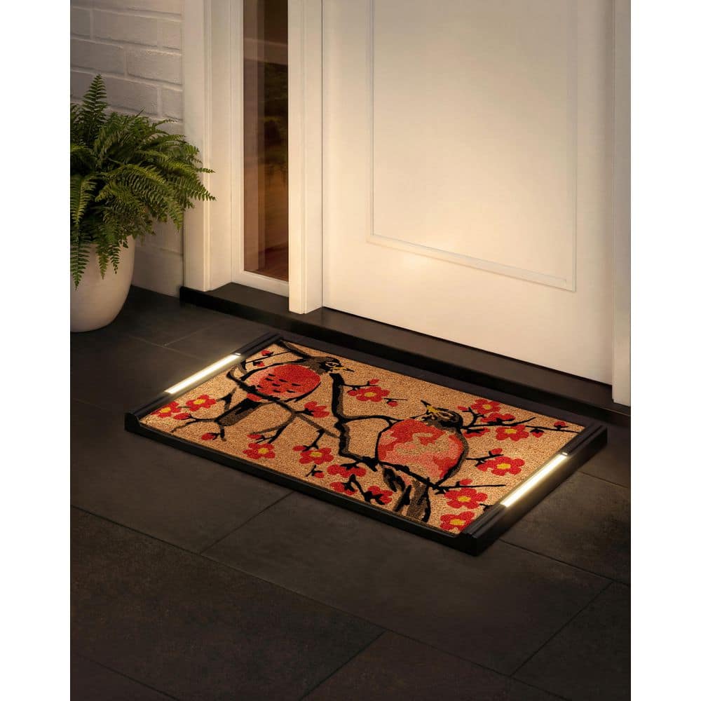 BriteStep Floral Welcome 32.5 in. x 18.5 in. Pressure-Activated, Wireless, Auto Shut-Off, Indoor/Outdoor LED Door Mat price history on PriceWatchPro