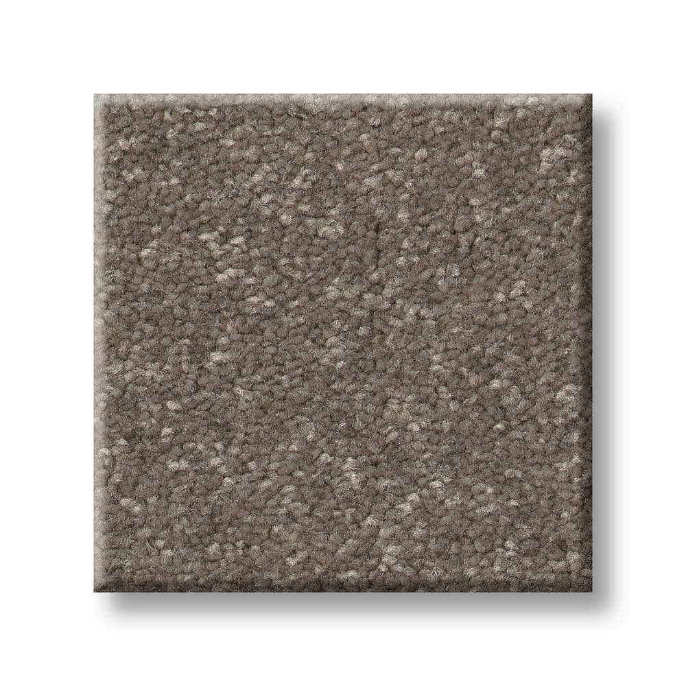 8 in. x 8 in. Texture Carpet Sample - Blakely II -Color Bogart price history on PriceWatchPro