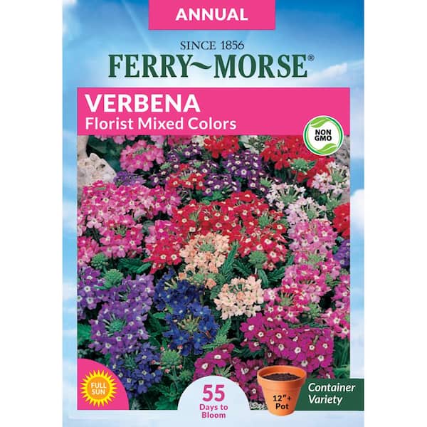 Ferry-Morse Verbena Florist Mixed Colors Flower Seed