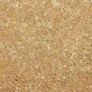 Sycamore II - Teak - Brown 58 oz. SD Polyester Texture Installed Carpet