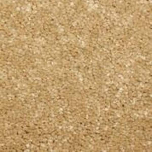 Home Decorators Collection Sycamore II - Teak - Brown 58 oz. SD Polyester Texture Installed Carpet