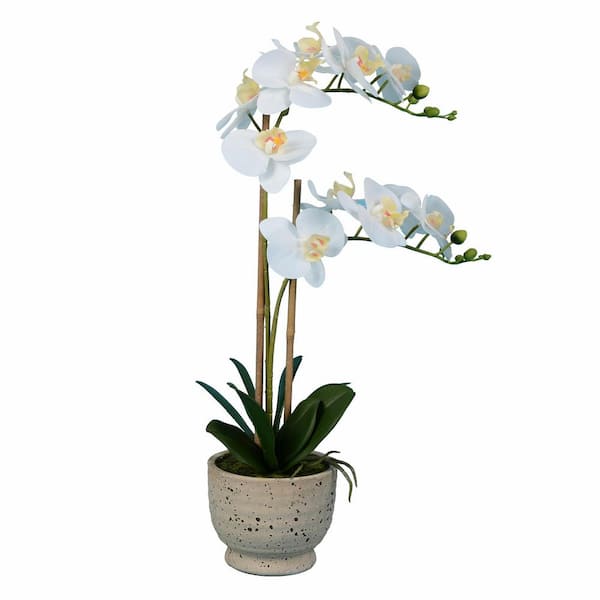 Vickerman 24.5 in. White Artificial Phalaenopsis Orchid Floral Arrangement In Cement Pot