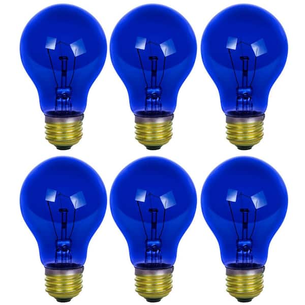 Sunlite 25-Watt A19 Edison Blue Transparent Incandescent Light Bulb (6-Pack)