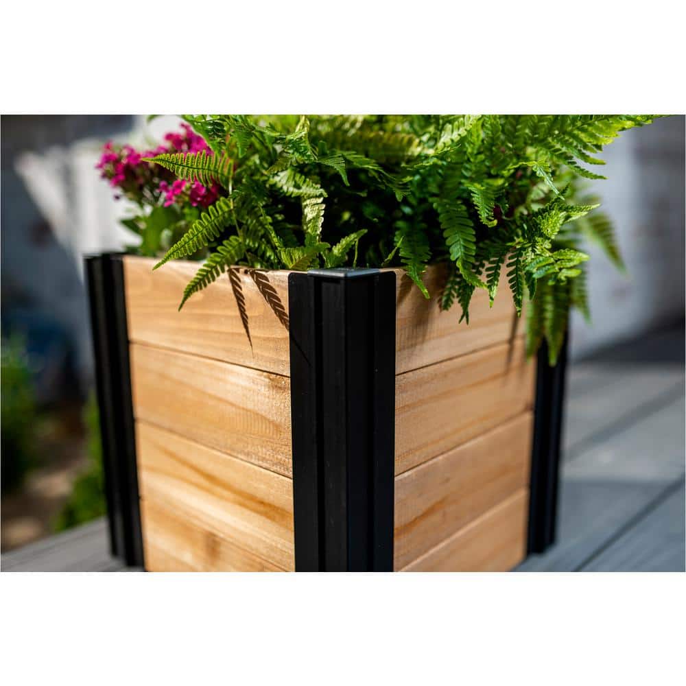 Mezza Cedar Brown Square Indoor/Outdoor Planter Box Set