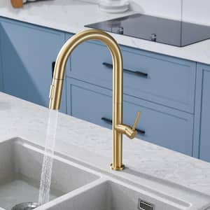 Single Handle Kitchen Faucet with Pull Down Sprayer in Brushed Gold (Deckplate Included)