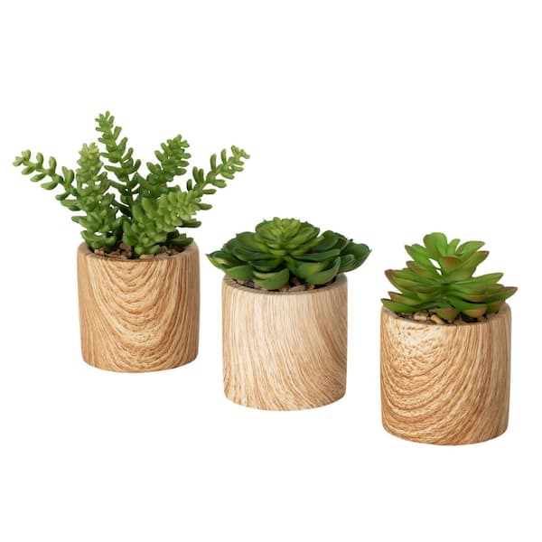 SULLIVANS 7", 5" & 4.5" Mini Potted Succulent Set of 3