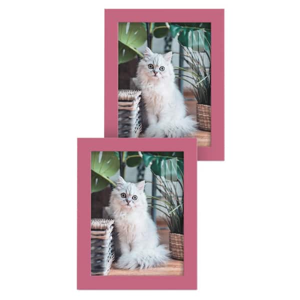 Wexford Home Modern 6 in. x 8 in. Hot Pink Picture Frame (Set of 2)