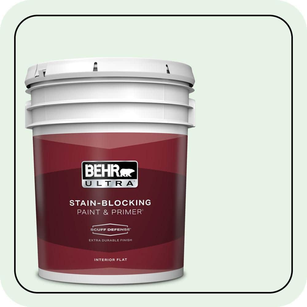 5 gal. #PPL-25 Sign Of Spring Extra Durable Flat Interior Paint & Primer price history on PriceWatchPro