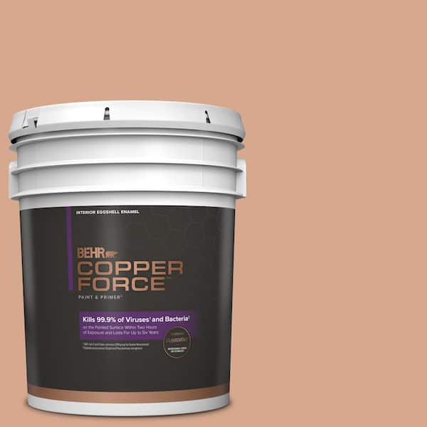 COPPER FORCE 5 gal. #MQ1-30 Peachy Confection Eggshell Enamel Virucidal and  Antibacterial Interior Paint & Primer 219005 - The Home Depot