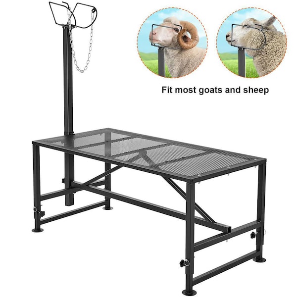 Goat & Sheep Stand, 47x23 in. Livestock Stand, Metal Livestock Milking and Shearing Stand, Adjustable Height 2025 update