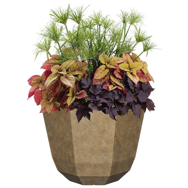 15 in. Earth Shaina Resin Planter