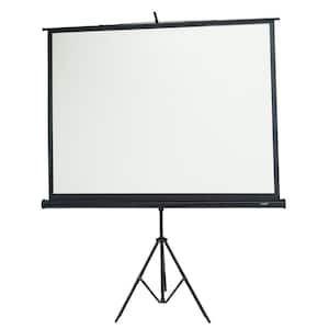 84 in. Portable Projection Screen