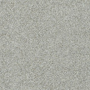 Folklore III - Legend Gray - 75 Oz. SD Polyester Texture Installed Carpet