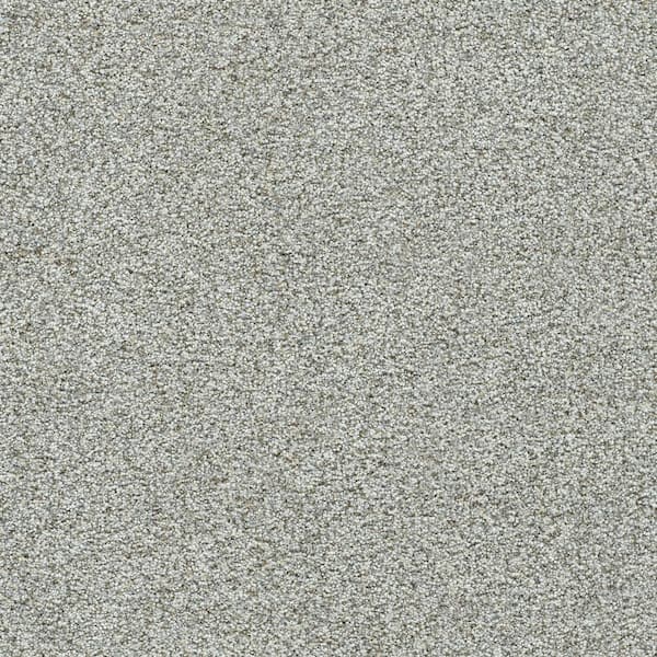 Folklore III - Legend Gray - 75 Oz. SD Polyester Texture Installed Carpet