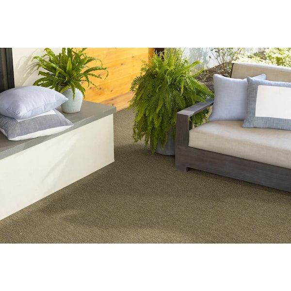 TrafficMaster 8 in. x 8 in. Texture Carpet Sample - Toulon - Color Spanish Moss