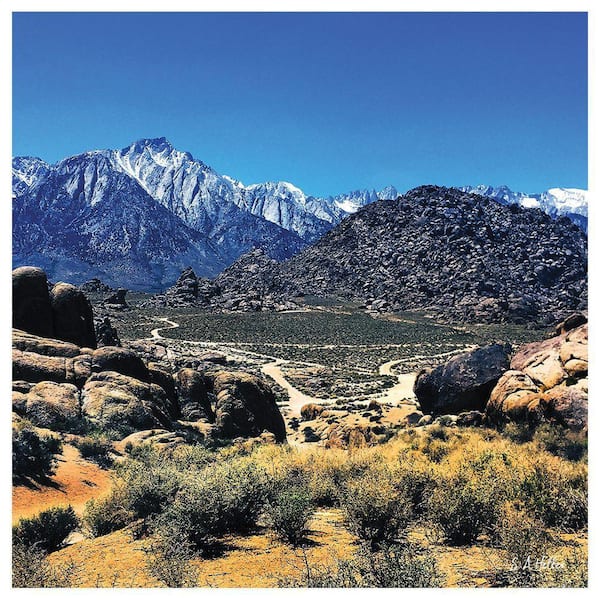 VENICE BEACH Collections Peaks Road by Steven A. Heller 1-Piece Unframed Canvas Drawing Print 14 in. x 14 in.