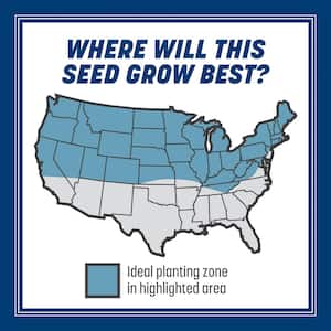 Smart Seed Kentucky Bluegrass 3 lb. 2,000 sq. ft. Grass Seed Blend