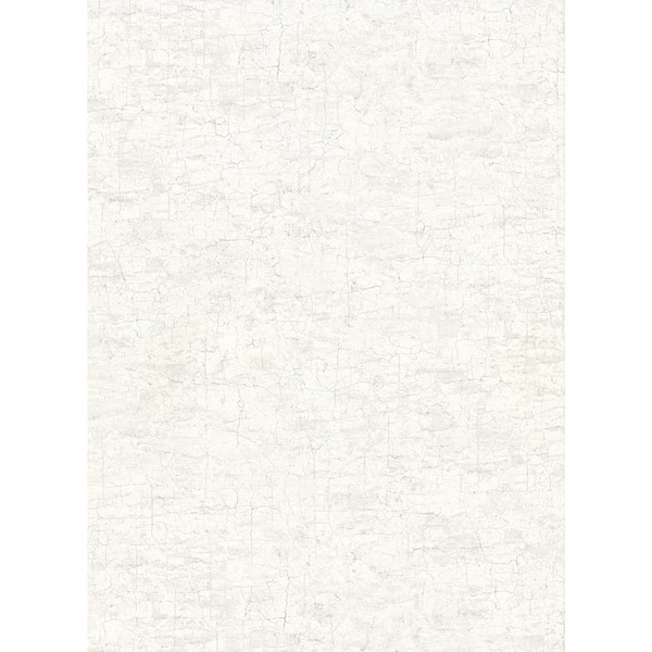 Warner Pembroke White Faux Plaster White Wallpaper Sample