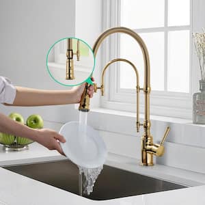 Single Handle Pull Down Sprayer Kitchen Faucet Solid Brass in Brushed Gold