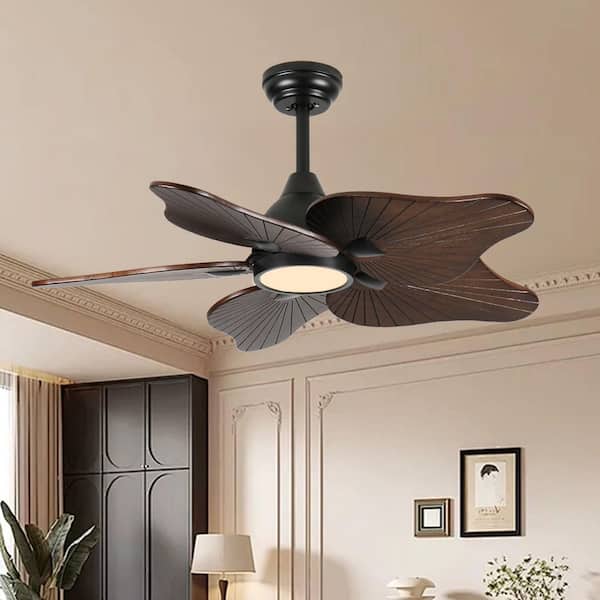44 in. Modern Black Solid Wood Brown Downrod Mount Standard Ceiling Fan with Dimmable Full-Spectrum LED Light and APP