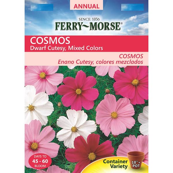 Ferry-Morse Cosmos Dwarf Cutesy Seed