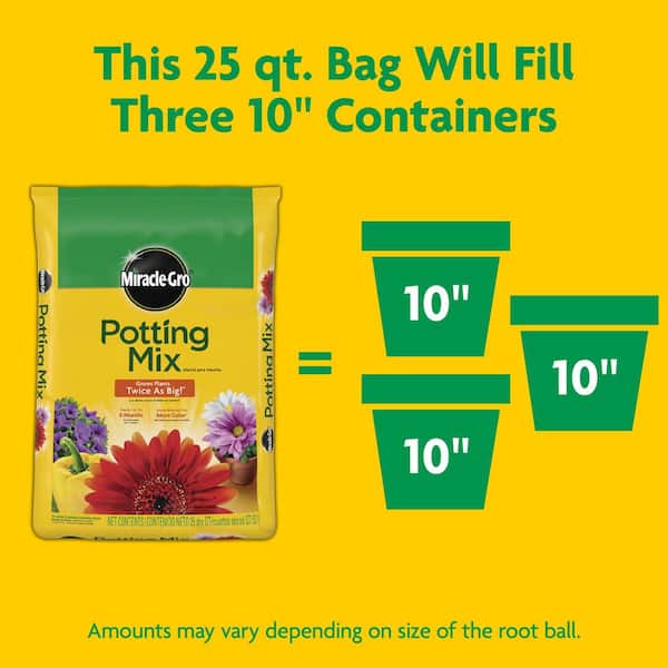 potting a money tree GARDENERA Money Tree Potting Soil - 10 QUART